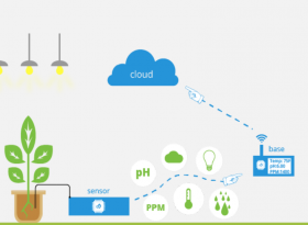 Hệ thống giám sát nông nghiệp bằng công nghệ IoT
